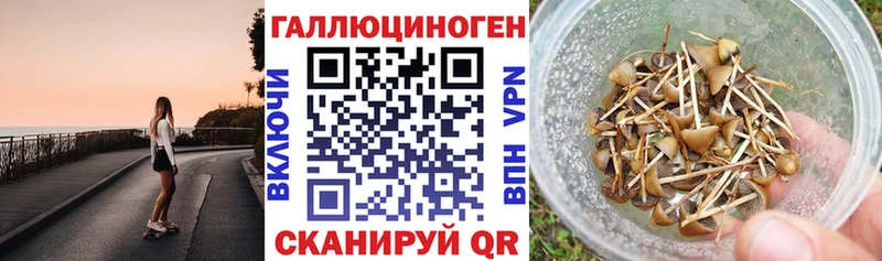 ОМГ ОМГ ONION  где найти   Карачаевск  Галлюциногенные грибы мицелий 